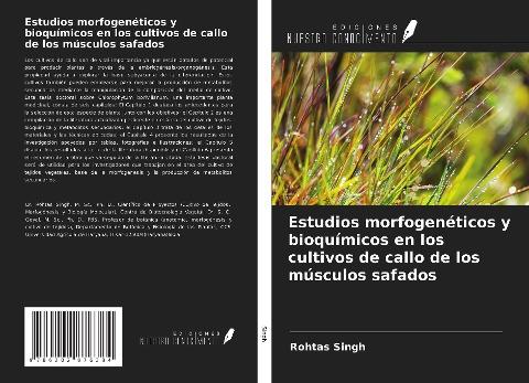 Estudios morfogenéticos y bioquímicos en los cultivos de callo de los músculos safados