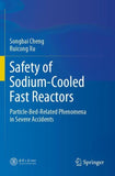 Safety of Sodium-Cooled Fast Reactors