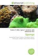 Sponge