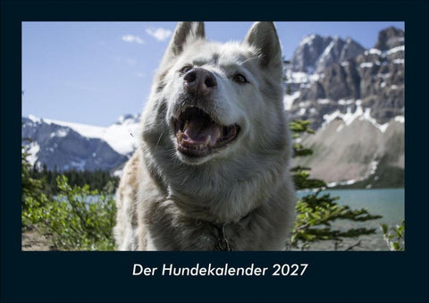 Der Hundekalender 2027 Fotokalender DIN A4