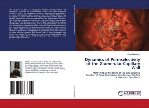 Dynamics of Permselectivity of the Glomerular Capillary Wall