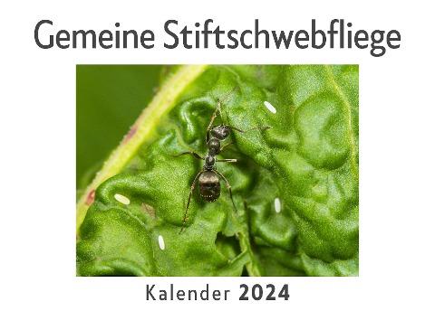 Gemeine Stiftschwebfliege (Wandkalender 2024, Kalender DIN A4 quer, Monatskalender im Querformat mit Kalendarium, Das perfekte Geschenk)