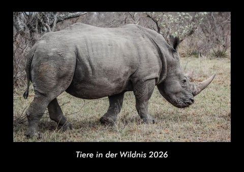Tiere in der Wildnis 2026 Fotokalender DIN A3