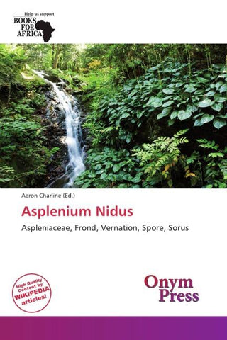 Asplenium Nidus