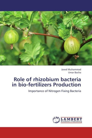 Role of rhizobium bacteria in bio-fertilizers Production