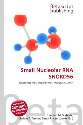 Small Nucleolar RNA SNORD56