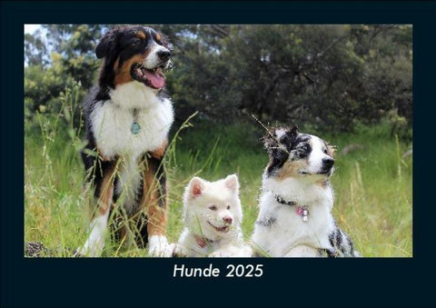 Hunde 2025 Fotokalender DIN A5