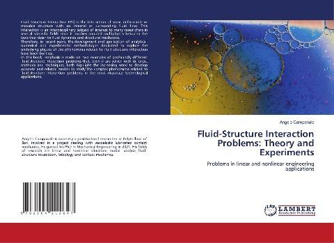 Fluid-Structure Interaction Problems: Theory and Experiments