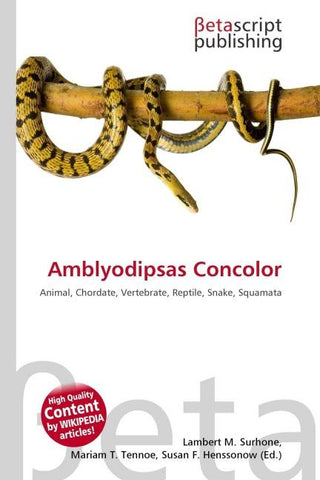 Amblyodipsas Concolor