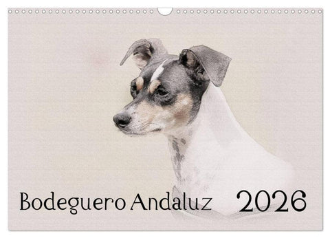 Bodeguero Andaluz 2026 (Wandkalender 2026 DIN A3 quer), CALVENDO Monatskalender