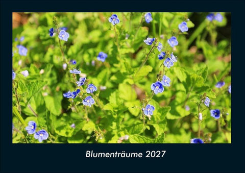 Blumenträume 2027 Fotokalender DIN A4