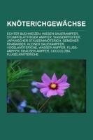 Knöterichgewächse