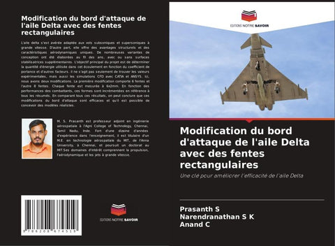 Modification du bord d'attaque de l'aile Delta avec des fentes rectangulaires