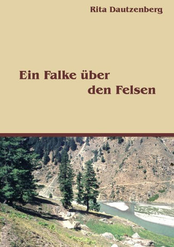 Ein Falke über den Felsen