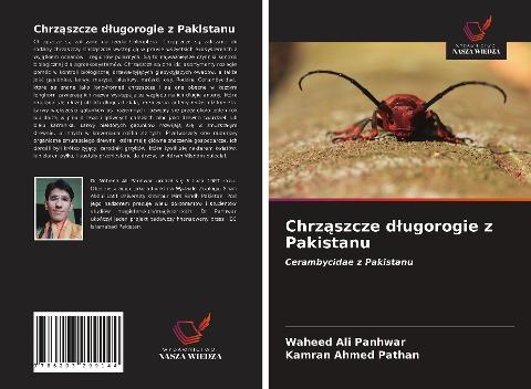 Chrz¿szcze d¿ugorogie z Pakistanu