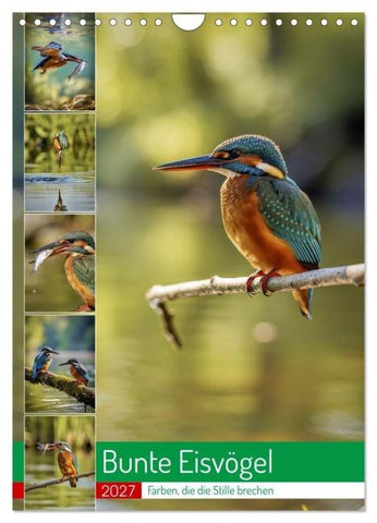 Bunte Eisvögel (Wandkalender 2027 DIN A4 hoch), CALVENDO Monatskalender