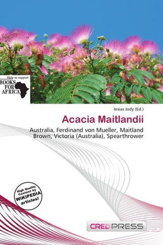 Acacia Maitlandii