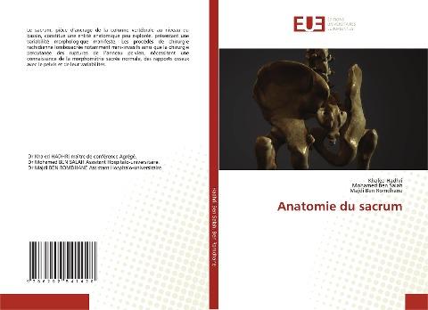 Anatomie du sacrum