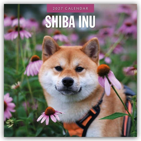 Shiba Inu 2027 – 16-Monatskalender
