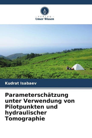 Parameterschätzung unter Verwendung von Pilotpunkten und hydraulischer Tomographie