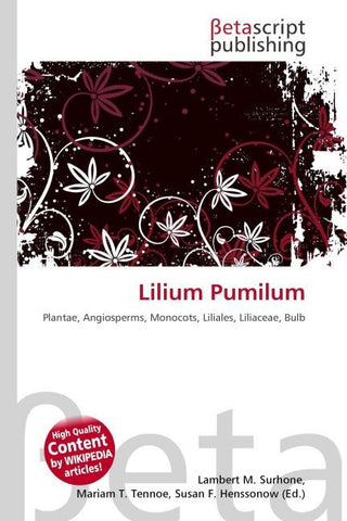 Lilium Pumilum
