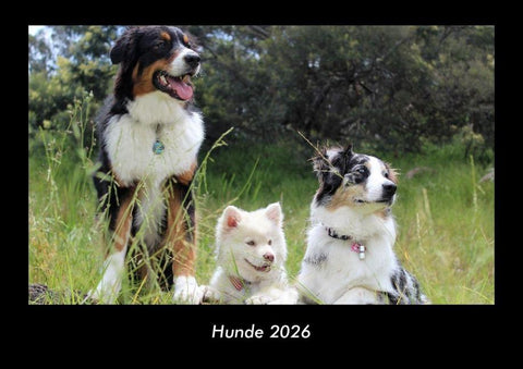 Hunde 2026 Fotokalender DIN A3