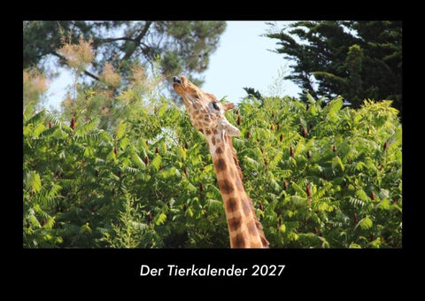 Der Tierkalender 2027 Fotokalender DIN A3