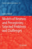 Models of Neurons and Perceptrons: Selected Problems and Challenges