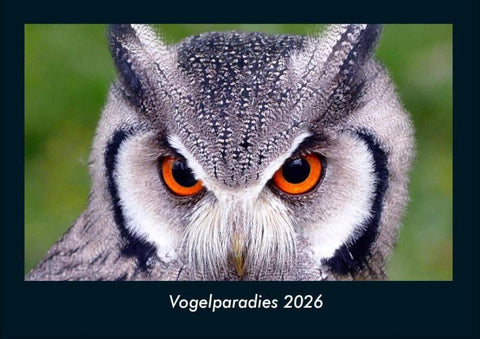 Vogelparadies 2026 Fotokalender DIN A4