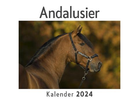 Andalusier (Wandkalender 2024, Kalender DIN A4 quer, Monatskalender im Querformat mit Kalendarium, Das perfekte Geschenk)