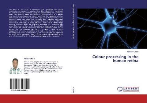 Colour processing in the human retina