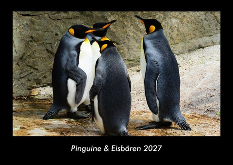 Pinguine & Eisbären 2027 Fotokalender DIN A3