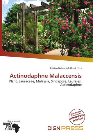 Actinodaphne Malaccensis