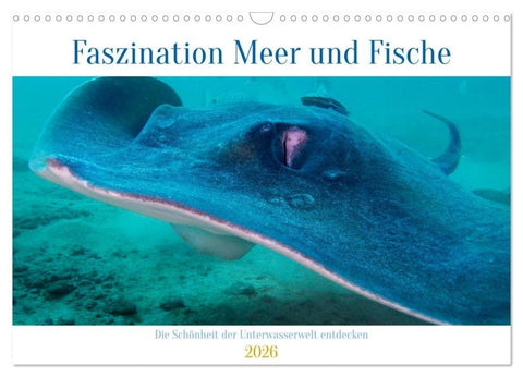 Faszination Meer und Fische (Wandkalender 2026 DIN A3 quer), CALVENDO Monatskalender