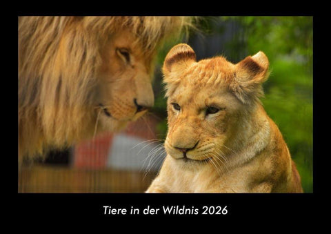 Tiere in der Wildnis 2026 Fotokalender DIN A3