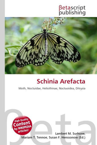 Schinia Arefacta