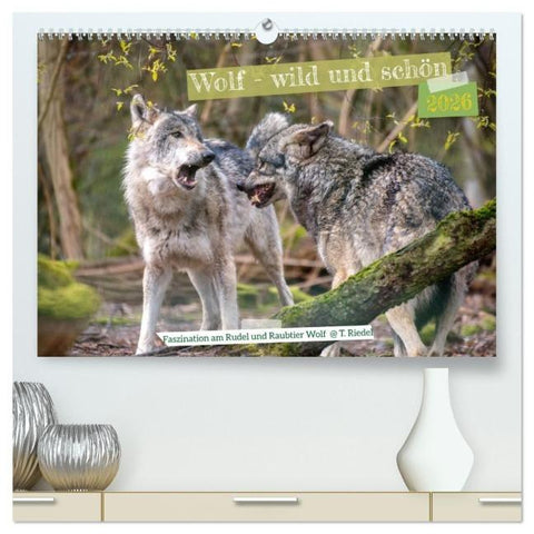 Wolf - wild und schön (hochwertiger Premium Wandkalender 2026 DIN A2 quer), Kunstdruck in Hochglanz