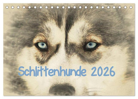Schlittenhunde 2026 (Tischkalender 2026 DIN A5 quer), CALVENDO Monatskalender