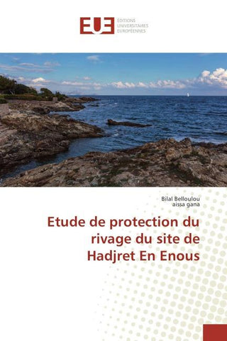 Etude de protection du rivage du site de Hadjret En Enous