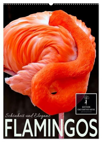 Flamingos - Eleganz und Schönheit (Wandkalender 2026 DIN A2 hoch), CALVENDO Monatskalender