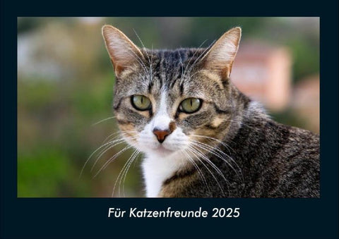Für Katzenfreunde 2025 Fotokalender DIN A4