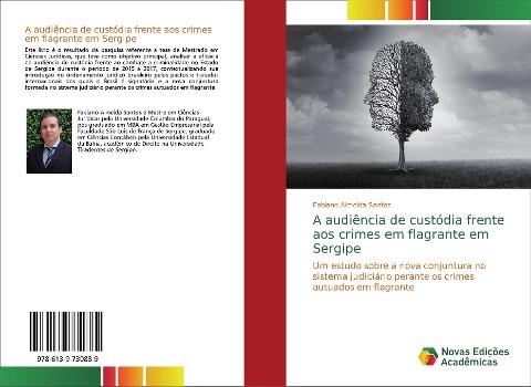A audiência de custódia frente aos crimes em flagrante em Sergipe