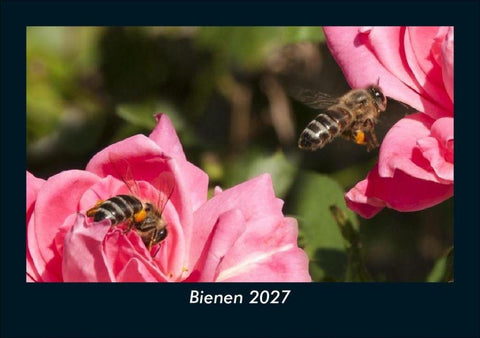 Bienen 2027 Fotokalender DIN A5