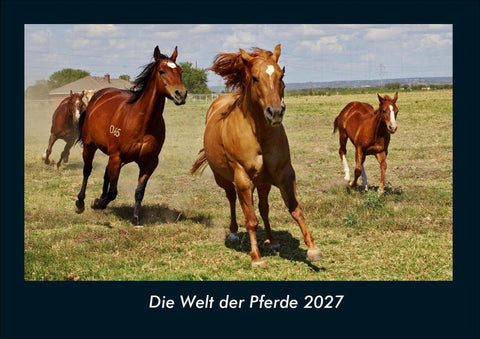 Die Welt der Pferde 2027 Fotokalender DIN A4