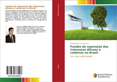 Fundos de reparação dos interesses difusos e coletivos no Brasil