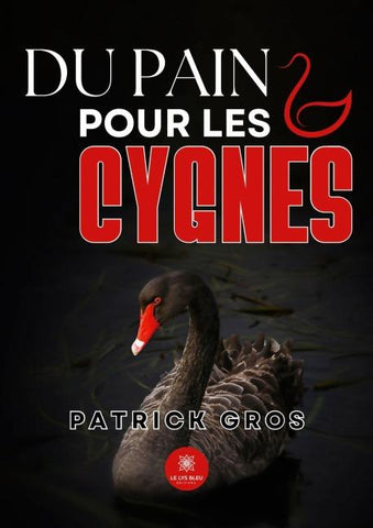 Du pain pour les cygnes
