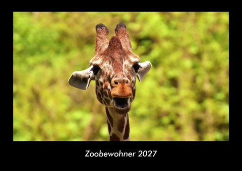 Zoobewohner 2027 Fotokalender DIN A3