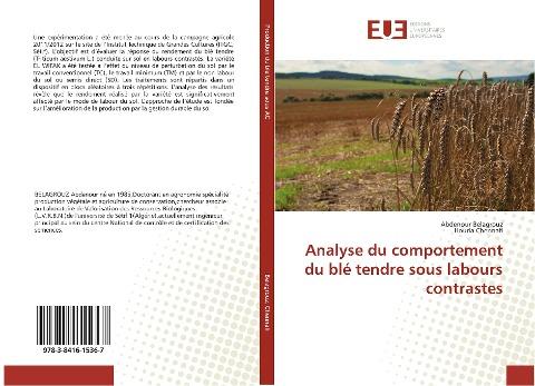 Analyse du comportement du blé tendre sous labours contrastes