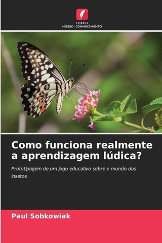 Como funciona realmente a aprendizagem lúdica?