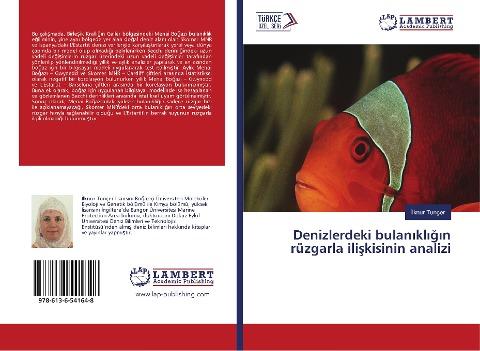 Denizlerdeki bulan¿kl¿¿¿n rüzgarla ili¿kisinin analizi